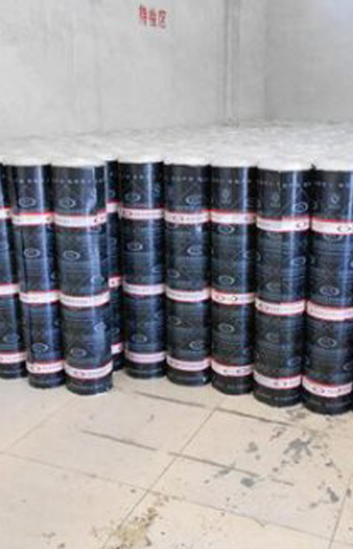 APP - Torch On Membrane